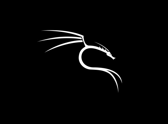 Kali Linux